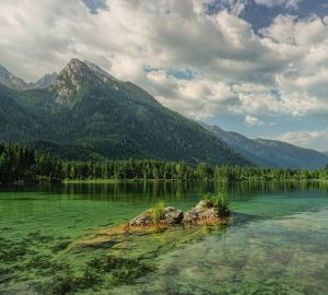 4 навыка выживания, которыми должен овладеть каждый