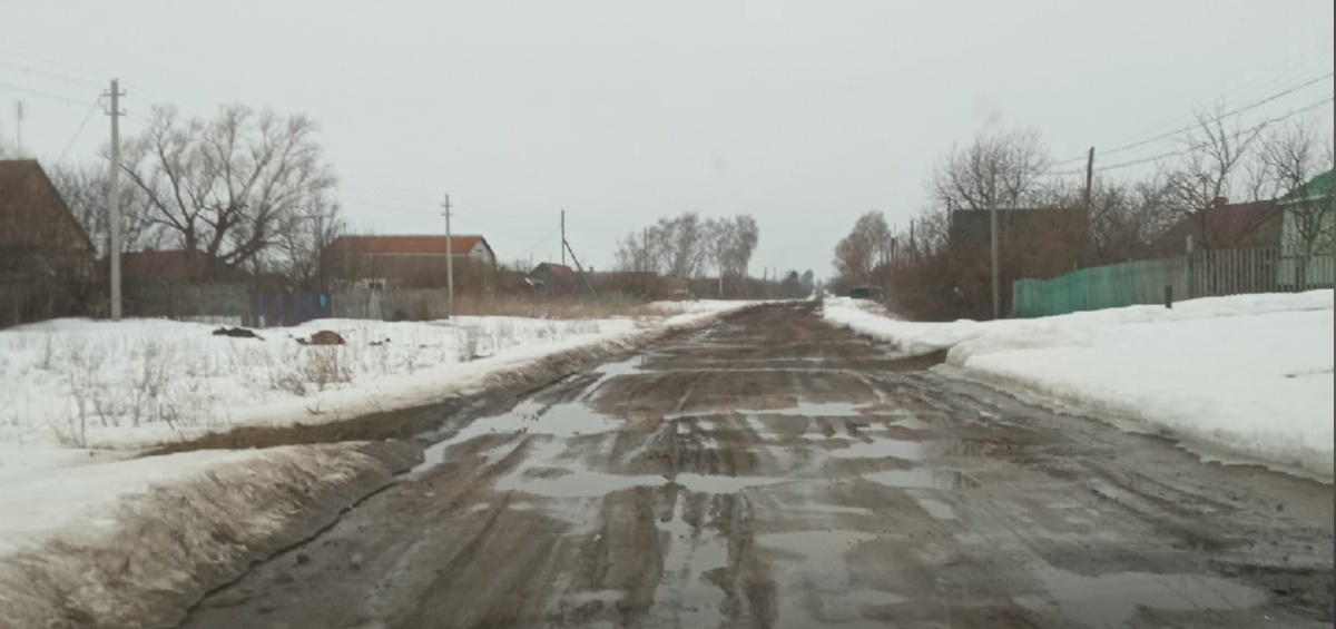 Жительница села Пензенской области пожаловалась на плохую дорогу