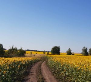 В Пензенской области начались весенне-полевые работы