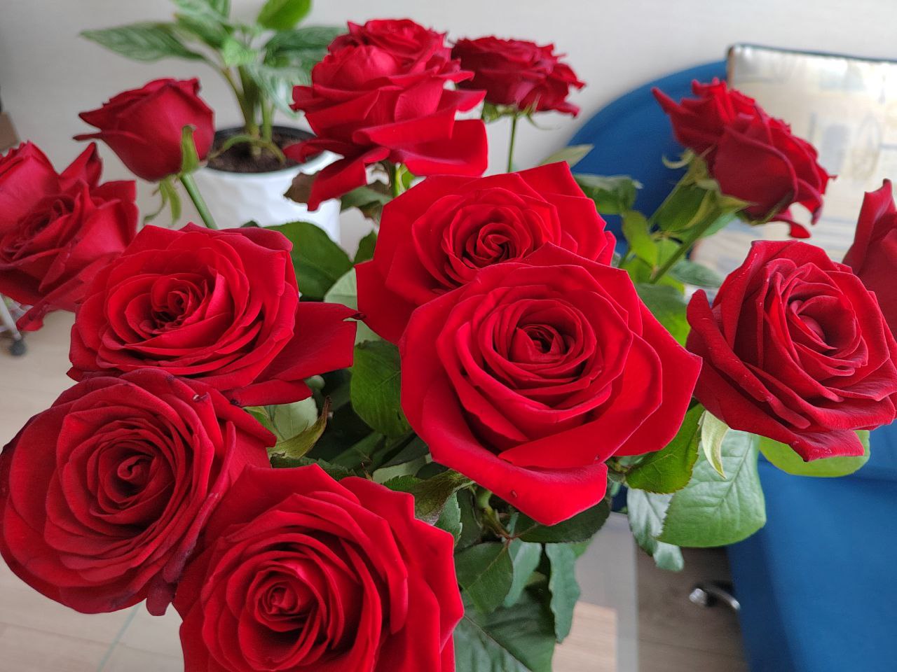 Цветочный этикет: какие букеты дарить мужчинам и женщинам