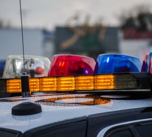 При покупке щенка пензячку обманули на 29 тысяч рублей