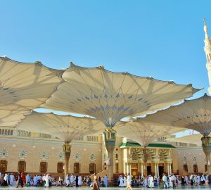 Саудовская Аравия отменила ПЦР-тесты и карантин для привитых туристов