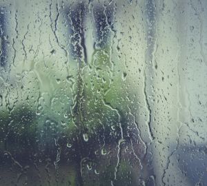 В воскресенье пензенцам пообещали дожди с мокрым снегом