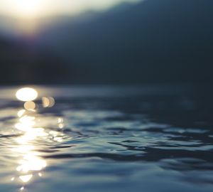 В Заречном не собираются чистить пруд в зоне отдыха «Солнечная»