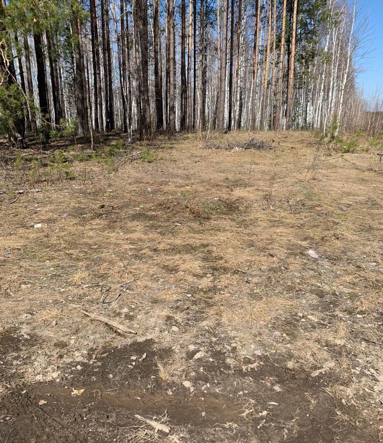 В Кузнецком районе поляну очистили от мусора после жалобы