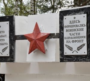 В мае пензенцы смогут спеть «Песни Победы» в режиме онлайн