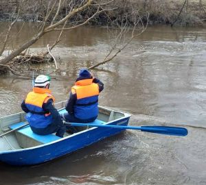 В Пензе спасатели пришли на выручку застрявшей на острове собаке и упавшему с высоты коту