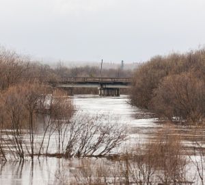 Глава пензенского МЧС назвал районы, в которых возможно серьезное затопление