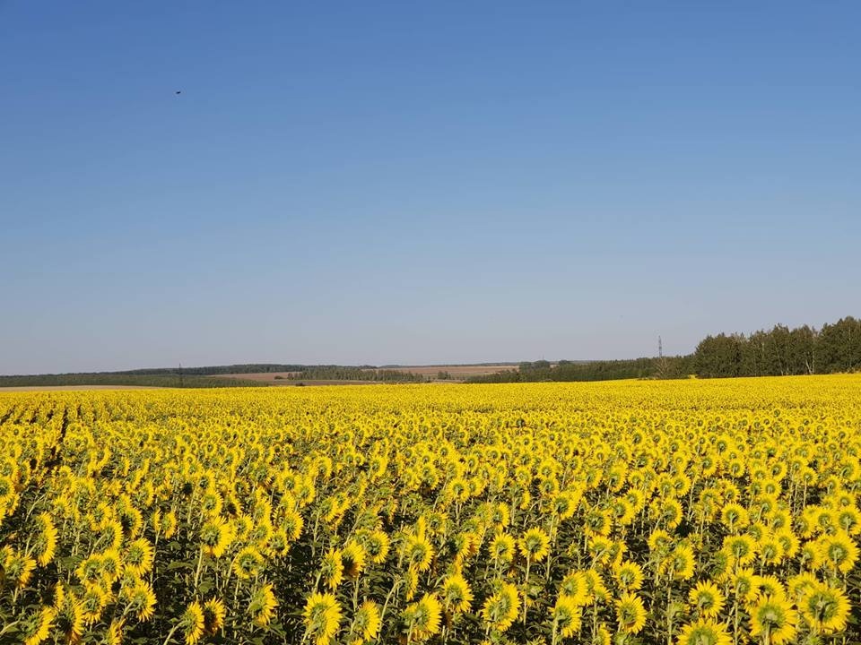 Эдуард Каташов рассказал, какими продуктами Пензенская область обеспечивает себя с избытком