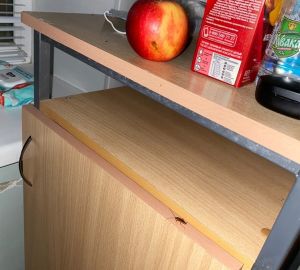 Пензенцы пожаловались на нашествие тараканов в больнице