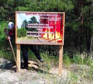 Путь пензенские леса преградят 700 новых шлагбаумов