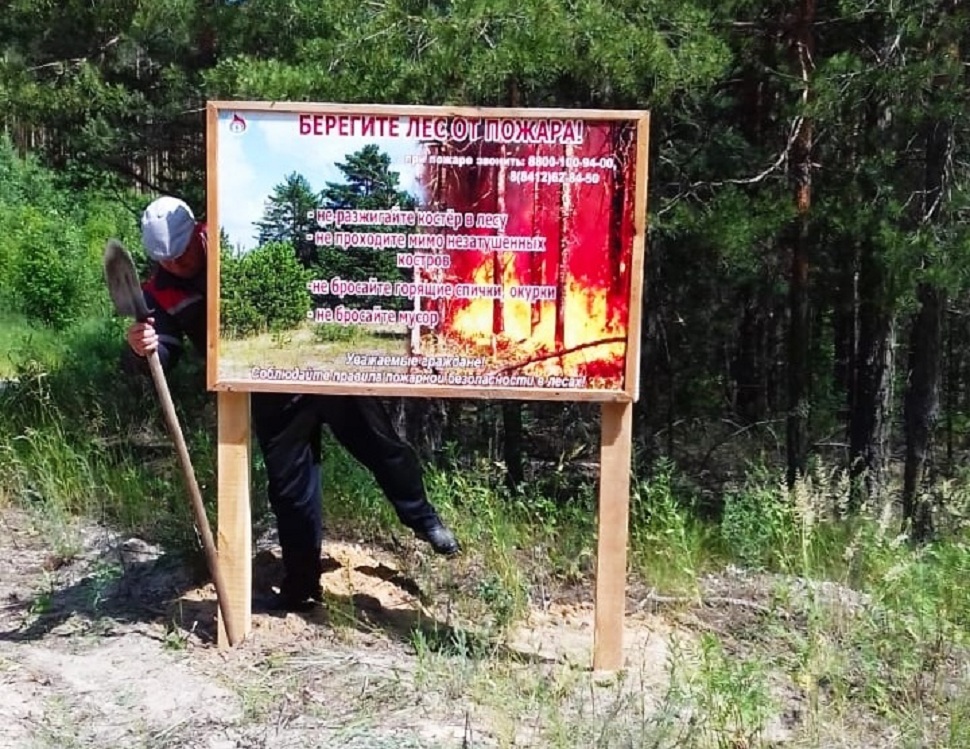 Путь пензенские леса преградят 700 новых шлагбаумов