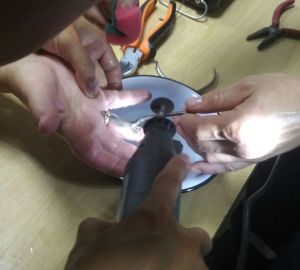 В Пензе спасатели помогли пензячке высвободить палец из «ловушки»