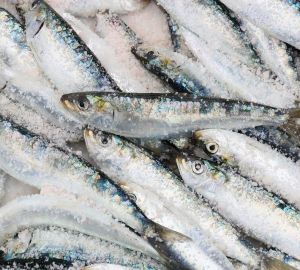 Ради выпивки житель Пензенской области утащил 32 кг засоленной рыбы