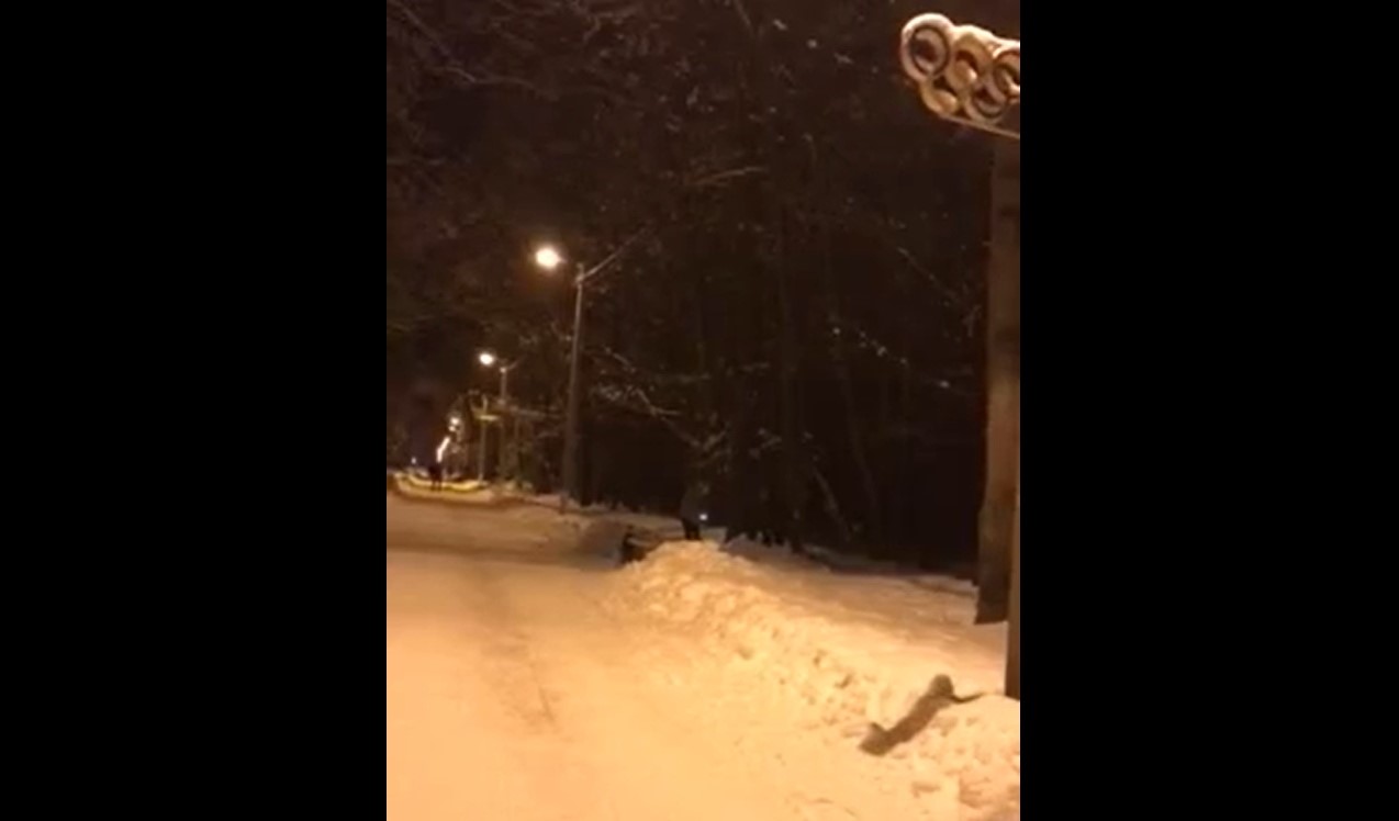 Пензенцы просят очистить Олимпийскую аллею от "археологов"