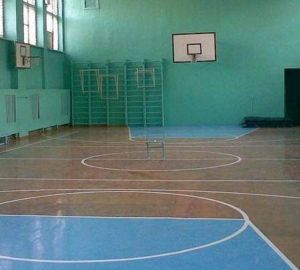 Половина спортобъектов Пензы требуют замены кровли