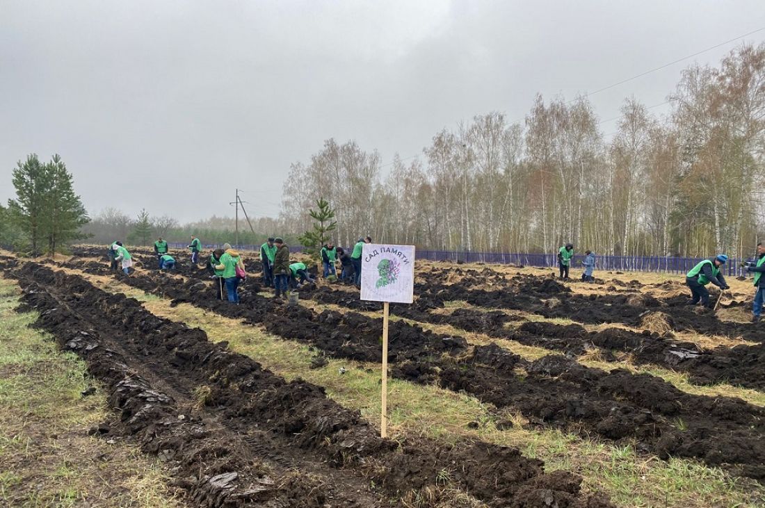 Жители Лопатинского района высадили деревья в память о погибших во время ВОВ