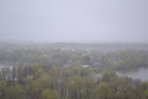 В Пензенской области продолжат идти дожди