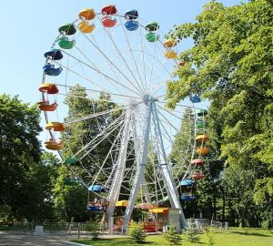 Более 1000 пензенцев проголосовали за благоустройство парка имени Белинского