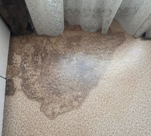 Детям сиротам из Башмаково выдали квартиры со сломанной вентиляцией