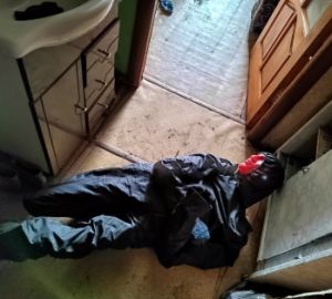 Житель Нижнего Ломова жестоко убил и расчленил приятеля