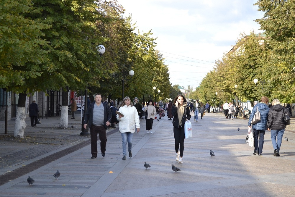 На улицах Пензы к праздникам высадили липы, рябины и каштаны