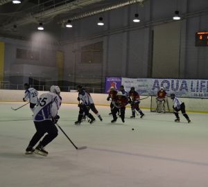 Пензенцев приглашают на финальный матч любительской лиги по хоккею