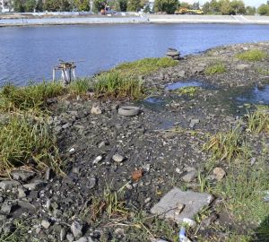 В Вадинске приступили к расчистке русла местной реки