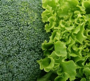 Россиянам назвали лучший весенний продукт