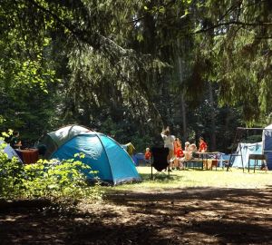 Стало известно, когда дети смогут поехать в лагерь по путевке с кешбэком