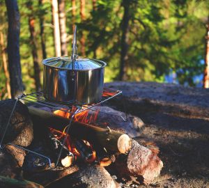 Пензенцам рассказали, как оформить путевку в детский лагерь