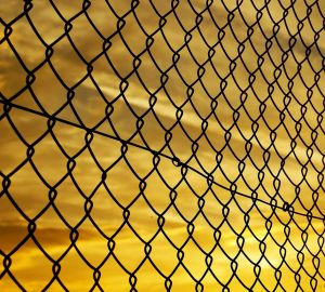 Росгвардейцы задержали мужчину, пытавшегося проникнуть в закрытый Заречный