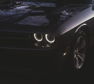 Стало известно об условиях автоматического продления водительских прав