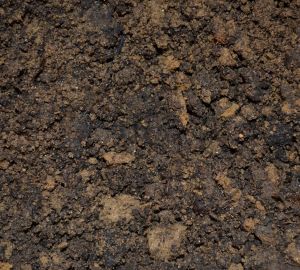 Пензенец пожаловался на отсутствие тротуаров на подходе к конечной остановке автобуса №54