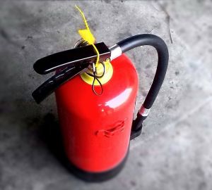 Городищенец убил брата ударом огнетушителя по голове за постоянную критику