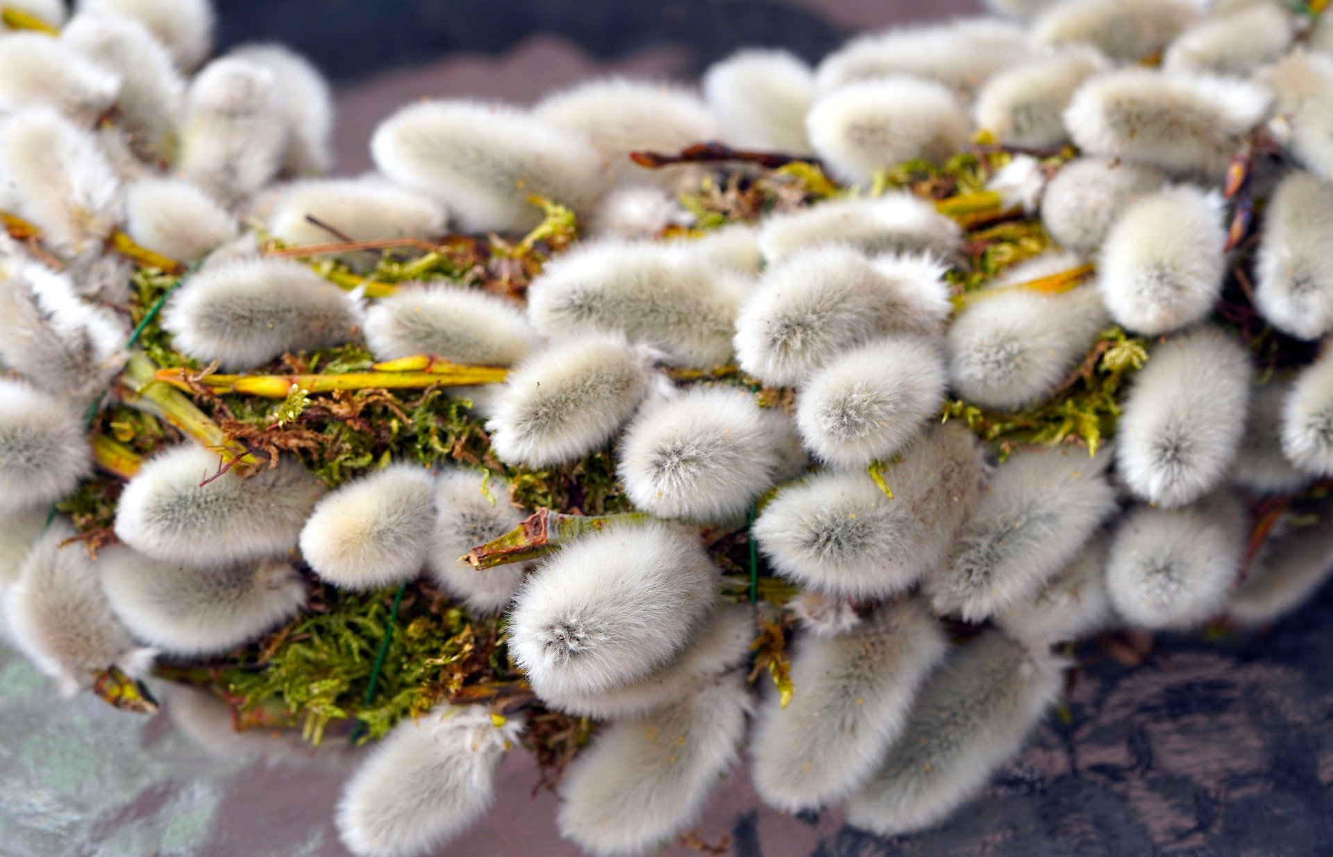 Пензенцам рассказали, где пройдет богослужение в честь Вербного воскресенья
