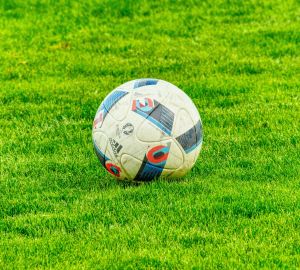 В России могут отменить звания заслуженных спортсменов и тренеров