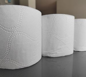 Производитель товаров личной гигиены Zewa уходит с российского рынка