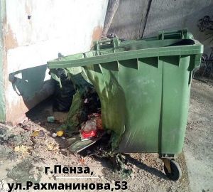 В Пензе неизвестные жгут мусорные контейнеры