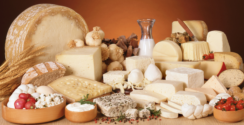 «Продовольственная безопасность – важное направление для аграриев»