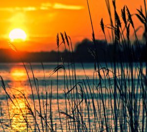 Для пензенцев обустроят 8 зон отдыха у водоемов