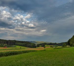 В Пензенской области хотят ввести в 17 тысяч раннее неиспользуемых гектаров пашни