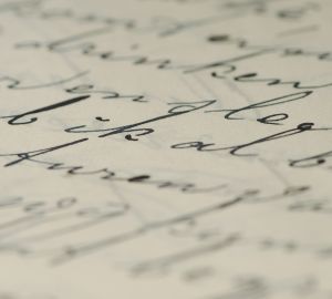 Times New Roman и Arial: В России заблокировали несколько популярных шрифтов