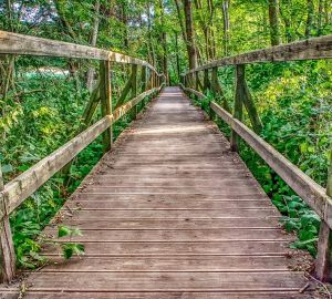 Пензенцам ответили, почему перекрыли мост на острове Пески