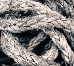 Эксперты назвали пять узлов, которые должен знать каждый, кто хочет выжить