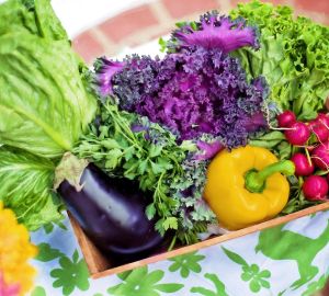 Россиянам назвали лучшие овощи и зелень для выращивания на балконе