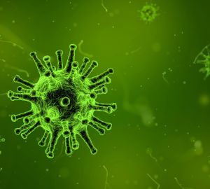 Ученые зарегистрировали около полусотни мутаций штамма «омикрон»