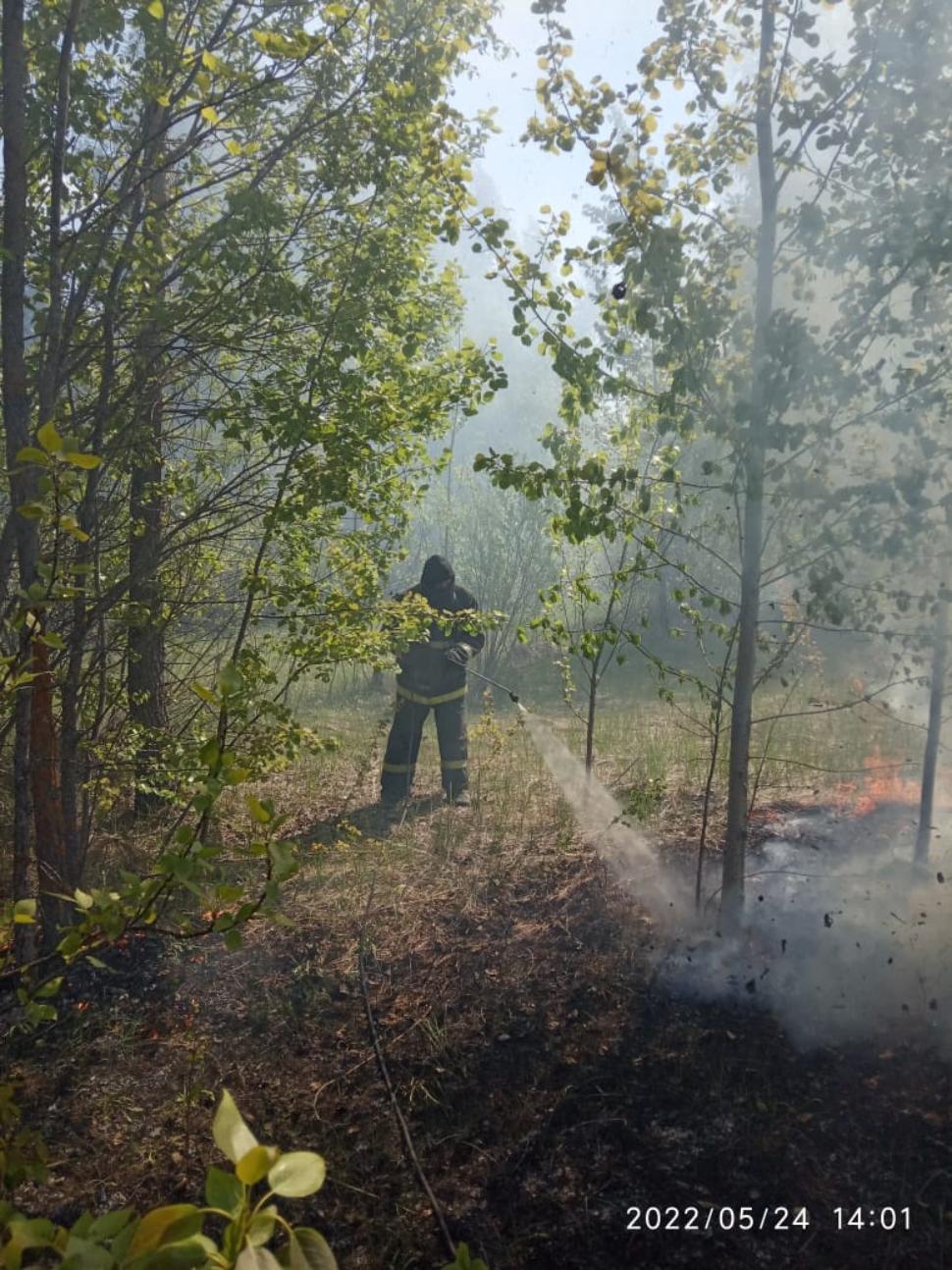 Под Пензой пожарные потушили огонь на кладбище