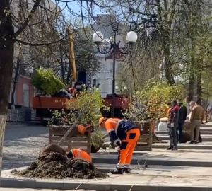 В Пензе на верхней части улицы Московской начали сажать деревья