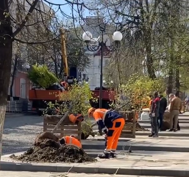 В Пензе на верхней части улицы Московской начали сажать деревья